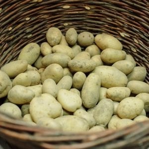 Beli krompir organik