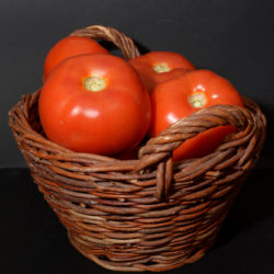 organski paradajz