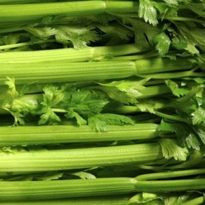 stap celera